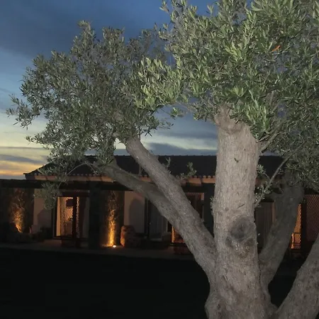 Monte Do Cardal Farm stay Odeceixe