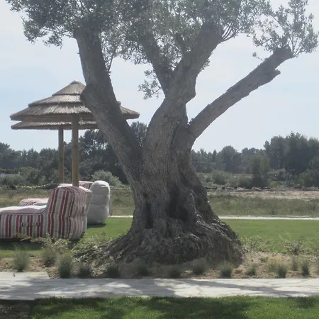 卡尔达农家乐 奥德赛克斯